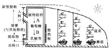 高科技农业温室大棚.是我国高效农业新技术及新型有机化学材料开发与利用的实例之一.图一是这一科技开发项目的示意图: (1)图一中的新型塑料是一种可降解塑料.你认为此种塑料的颜色最可能为 .--精英家教网--